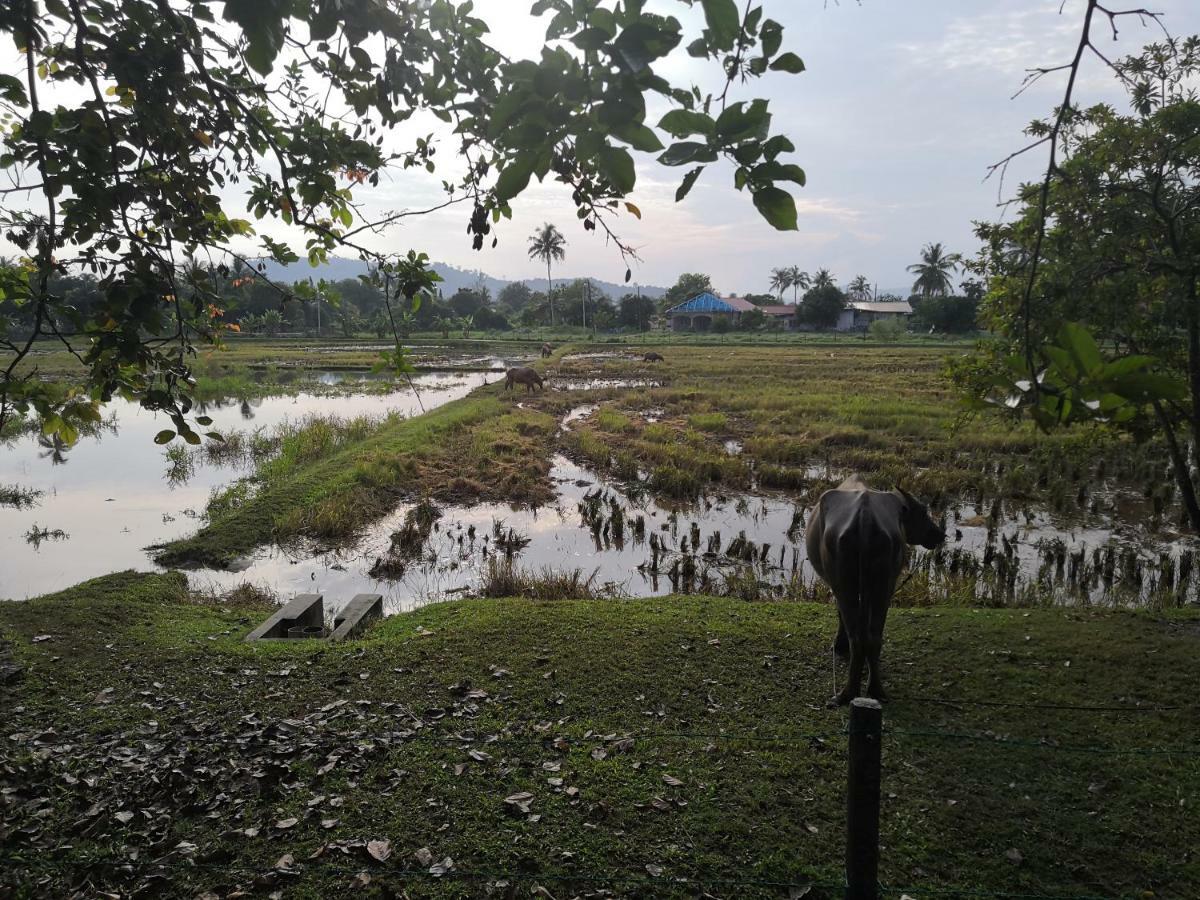 Homestay Barakah Cenang Langkawi Pantai Cenang  Eksteriør bilde